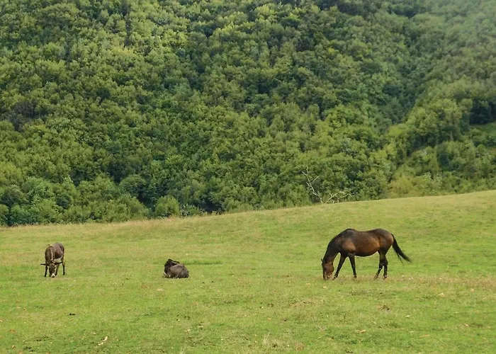 Semesterbostad Casa Matilde *